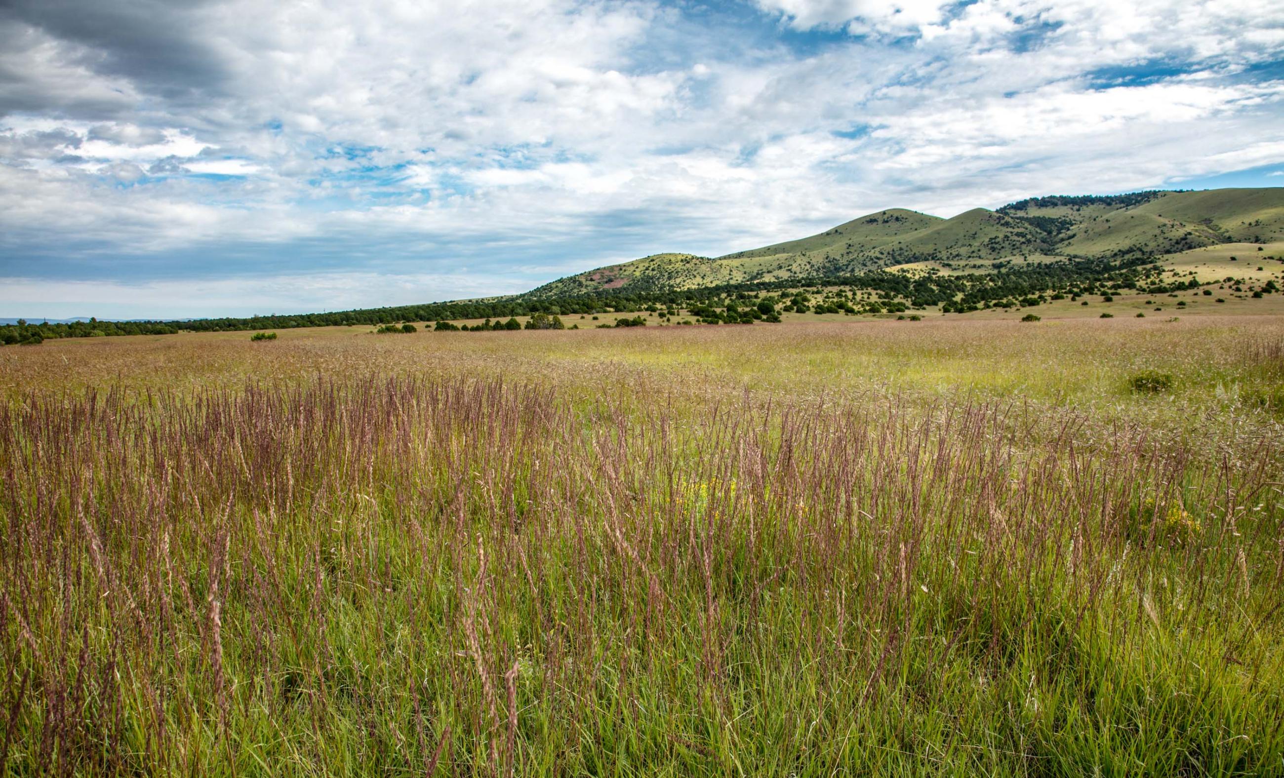 Laughlin Peak Ranch Chas S. Middleton